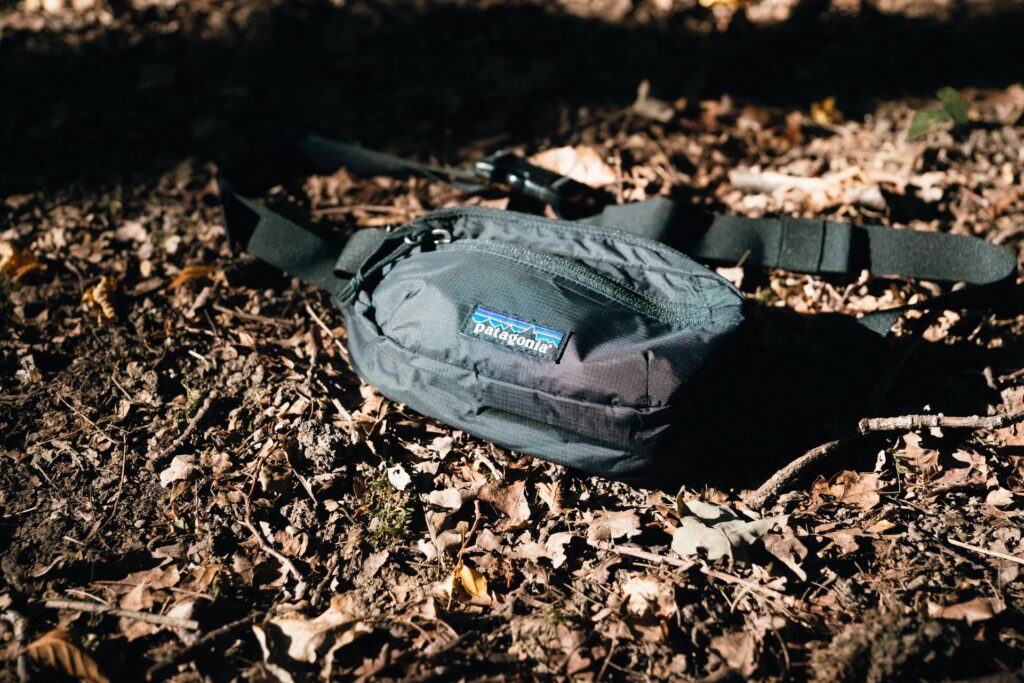 Patagonia Terravia Mini Hip Pack 1L Black - detal w lesie