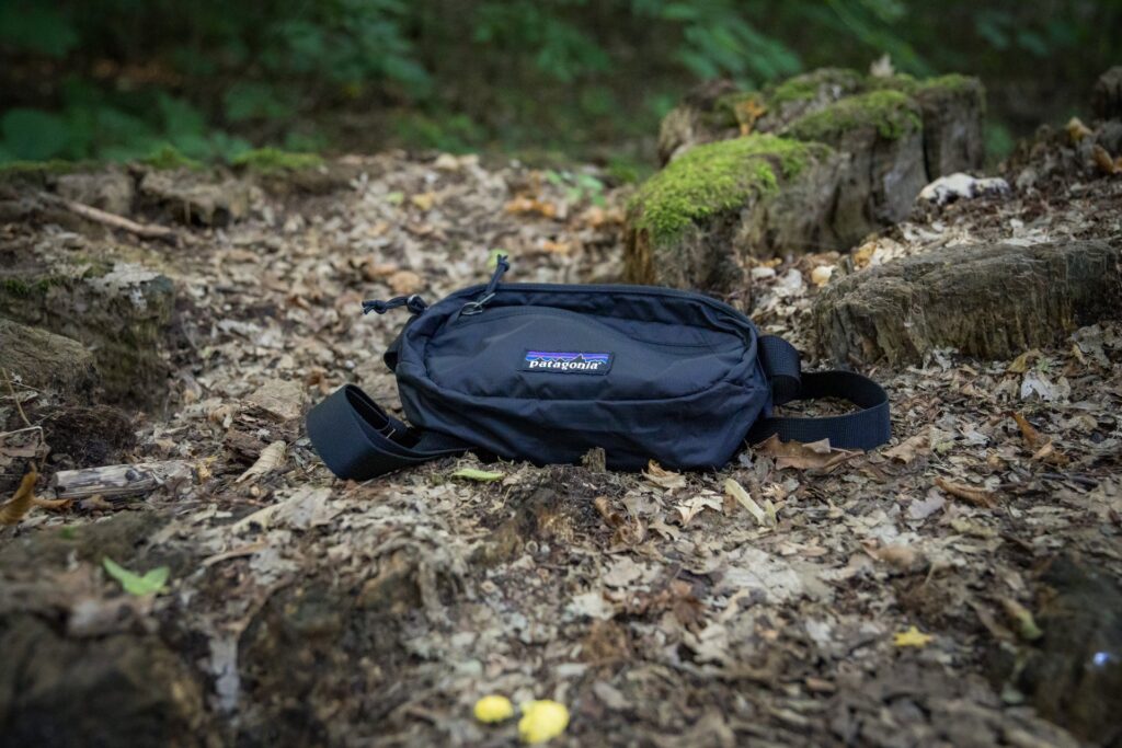 Patagonia Terravia Mini Hip Pack 1L Black - porównanie z Dakine